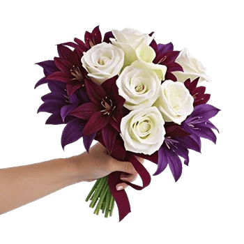 Elegant Calla Lilies