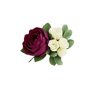 Plum Blossom Radiance