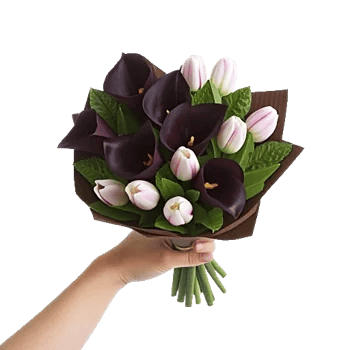 Elegant Calla Lilies