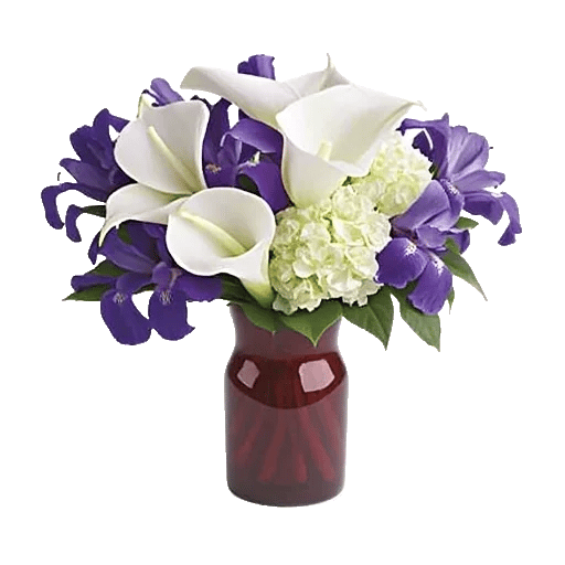 Elegant Calla Lilies
