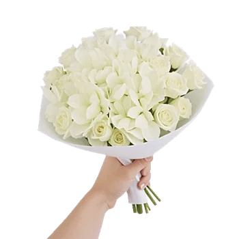 Serene Petal Harmony