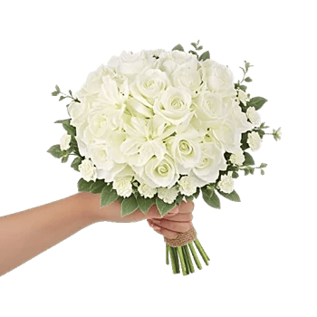 Serene Petal Harmony