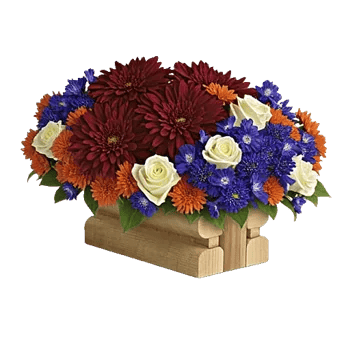 Crimson Blossom Harmony