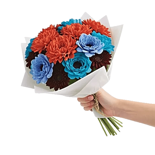 Coral Blossom Harmony