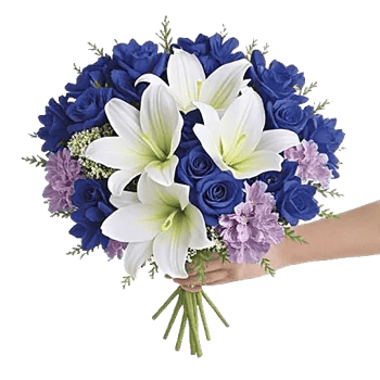 Blossom Petal Serenity