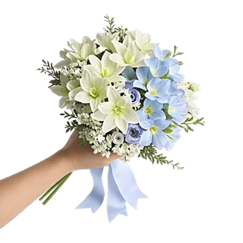 Dewy Morning Blossoms