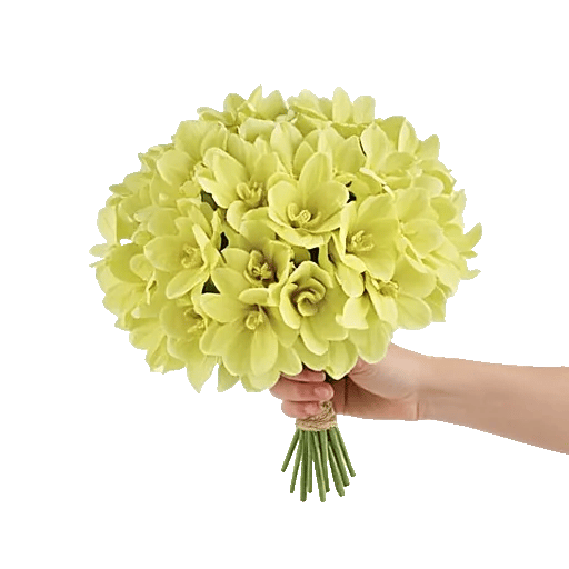 Emerald Bloom Cascade