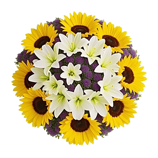 Twinkling Sunflower Dance