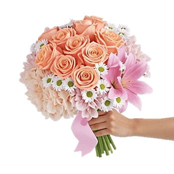 Pastel Pink Roses