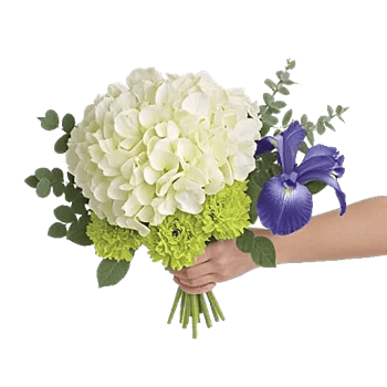 Ivory Blossom Radiance