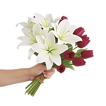 Blossom Harmony Display