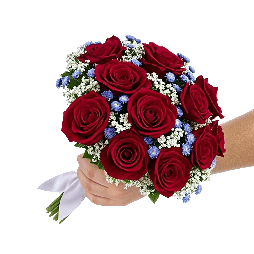 Crimson Rose Elegance