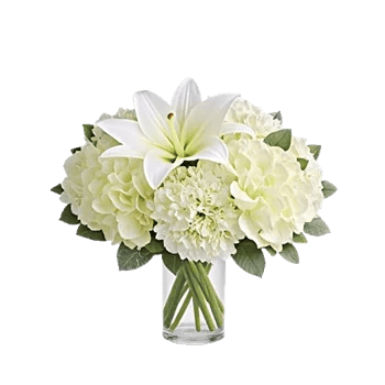 Graceful Lily Display