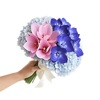 Serenity Orchid Bloom