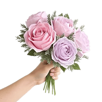 Pastel Pink Roses