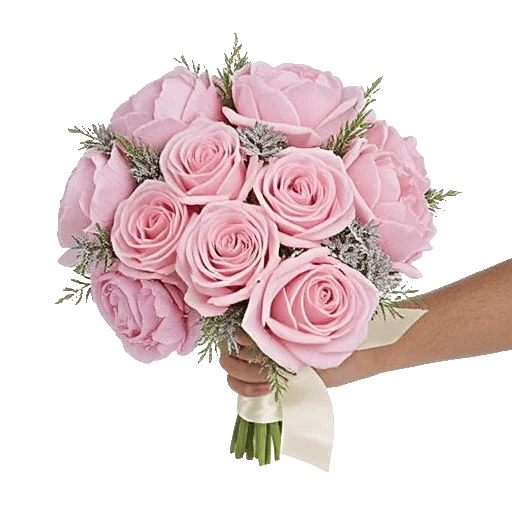 Pastel Pink Roses