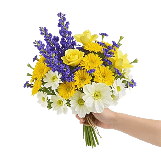 Blossom Harmony Display