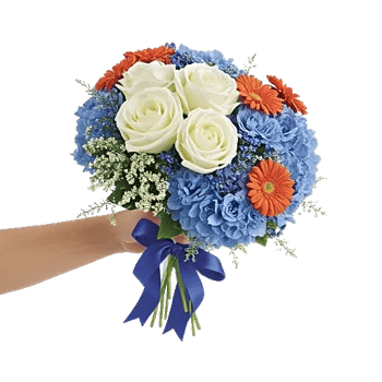 Serene Petal Harmony