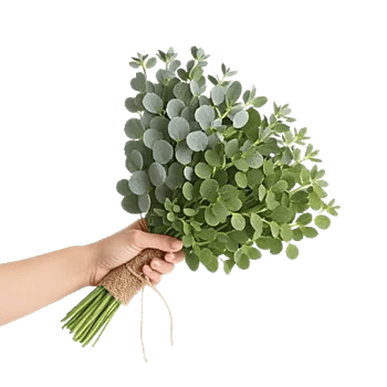 Emerald Leaf Harmony