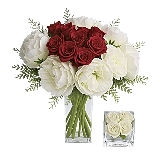 Petal Radiance Bliss