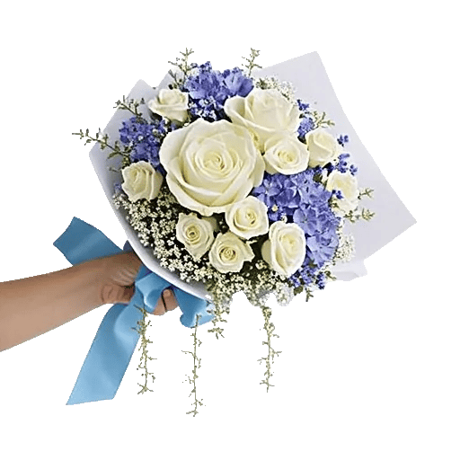 Serene Petal Harmony