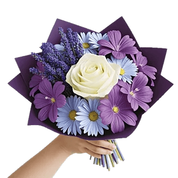 Serene Petal Harmony