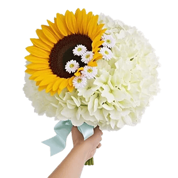 Twinkling Sunflower Dance