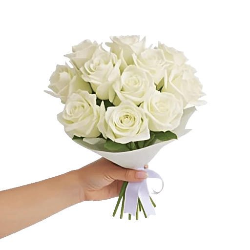 Pearl Rose Elegance