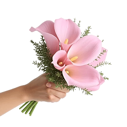 Elegant Calla Lilies