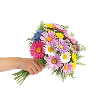 Blossom Petal Serenity