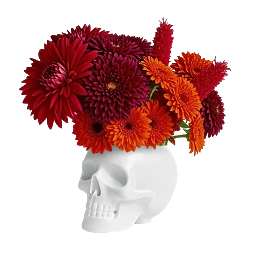 Crimson Blossom Harmony