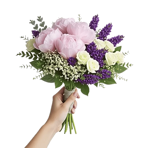 Peony Petal Harmony