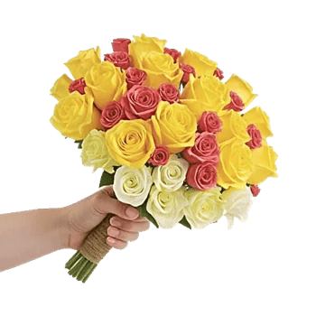 Blushing Rose Symphony