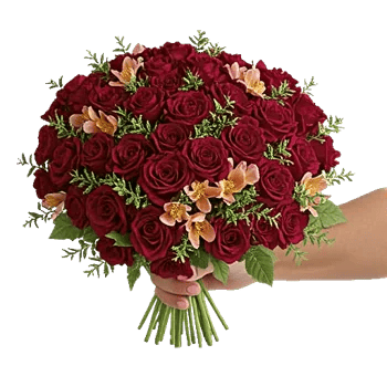 Crimson Blossom Harmony