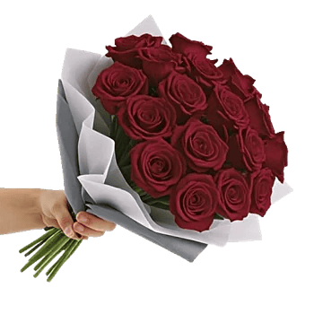 Crimson Rose Elegance