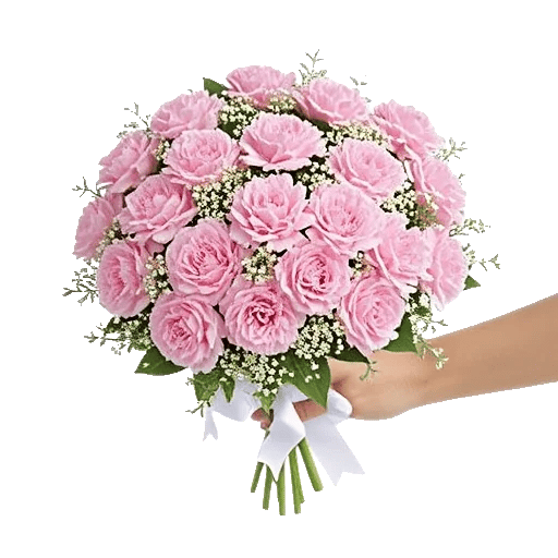Pastel Pink Roses