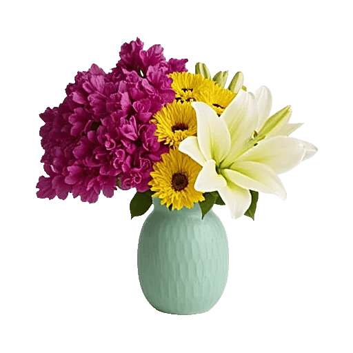 Petal Radiance Bliss