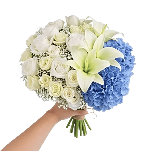 Delicate Petal Cascade