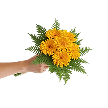 Golden Petal Harmony