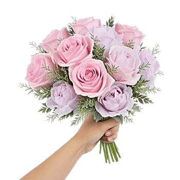Pastel Pink Roses