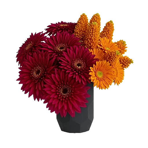 Crimson Blossom Harmony