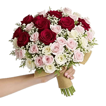 Crimson Rose Elegance
