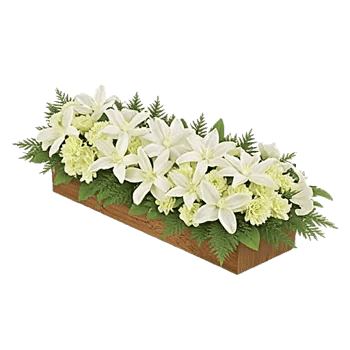 Delicate Petal Cascade