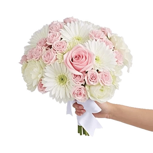 Pastel Pink Roses