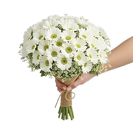 Delicate Petal Cascade