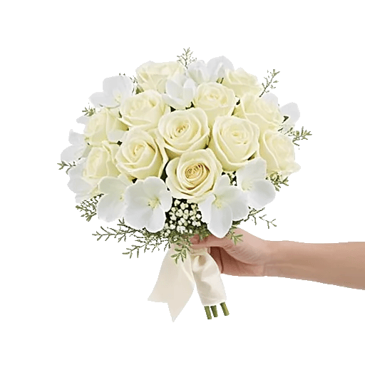 Modern White Orchids