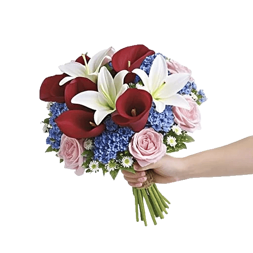 Elegant Calla Lilies