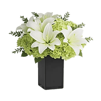 Ivory Blossom Radiance