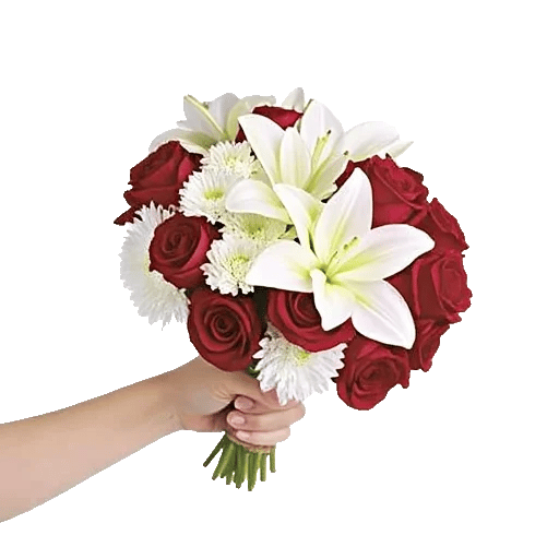 Crimson Rose Elegance