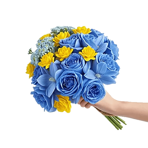 Blossom Petal Serenity